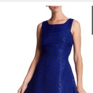 NWT Collective concepts royal blue fit and flare
